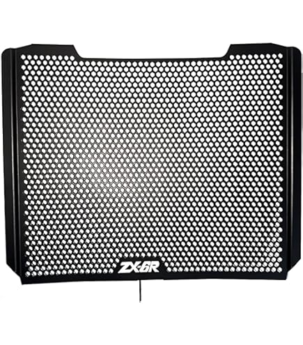 Amazon.com: ZX-6R 2025 Radiator Guard Protective Cover